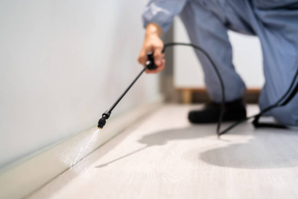 Licensed Termite Control service in Charles Town, WV - Show Me Pest Control