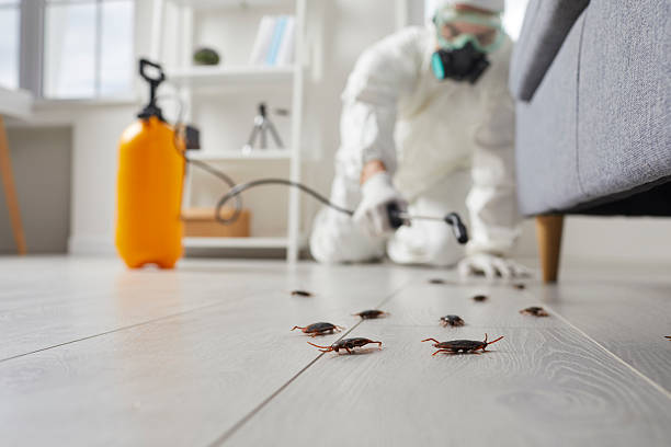 Post-Treatment Bed Bug Interceptor Monitoring in Charles Town