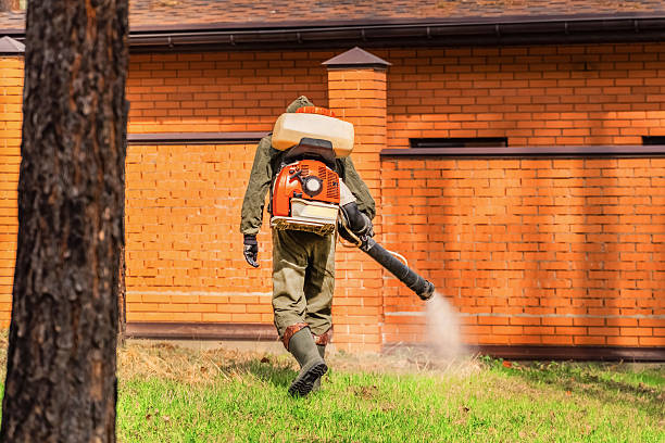 Bed Bug Clearance Verification and Documentation in Charles Town